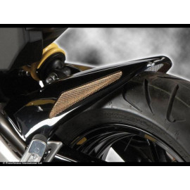 Parafango Posteriore  Colore  CARBON LOOK-SILVER MESH per KAWASAKI ER6-N/F (12-14)