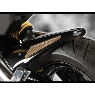 Parafango Posteriore  Colore  CARBON LOOK-GOLD MESH per KAWASAKI ER6-N/F (12-14)