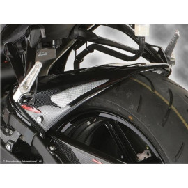 Parafango Posteriore  Colore NERO - RETINA ORO per KAWASAKI ZX6-R (07-08)