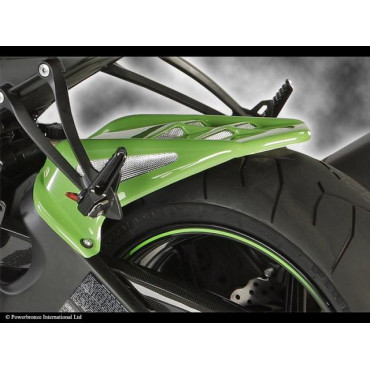 Parafango Posteriore  Colore CARBONIO - RETINA ARGENTO per KAWASAKI ZX10-R (08-10)