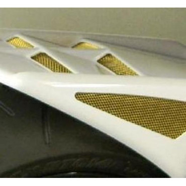 PARAFANGO POSTERIORE IN ABS per BMW S 1000 RR (2016-2017)