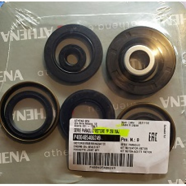Serie paraolio motore YAMAHA YP MAJESTY 250 (1996-2003)