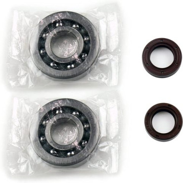 Kit Revisione Albero Motore: Kit Cuscinetti e Paraolio per Motore Piaggio 50 2t