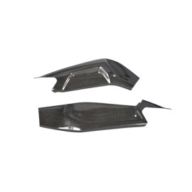 Protezioni Forcellone In Carbonio (Coppia) per APRILIA RS 660 (2020-2023)