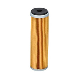 FILTRO OLIO per FANTIC MOTOR CABALLERO 500 (2018-2020)