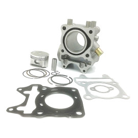 CILINDRO COMPLETO  HERTZ GRUPPO TEMICO PER HONDA SH IE DD/ABS - PCX/ESP  125