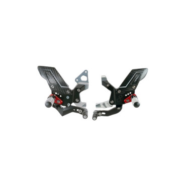 Pedane Regolabili Con Poggiapiedi Snodati R VERSION per Ducati PANIGALE 899 - 1199 - 1299 Pedane Regolabili Con Poggiapiedi Snodati R VERSION per Ducati PANIGALE 899 - 1199 - 1299