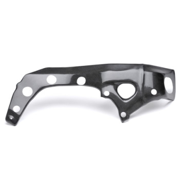 Protezioni Telaio in Carbonio lucido LIGHTECH per BMW S 1000 RR (2009-2015) - S 1000 R (2015-2017>)