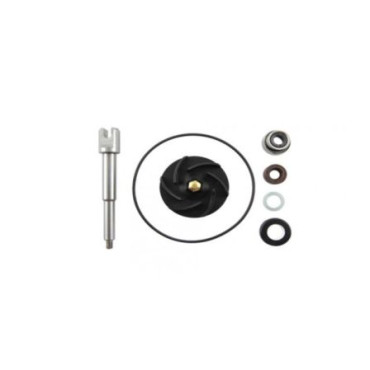 Kit Revisione Pompa Acqua c/albero 20 mm per  PIAGGIO 500 BEVERLY/X9 (2002/2005)