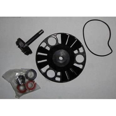 Kit Revisione Pompa Acqua c/disco traino per PIAGGIO 180/200 X9