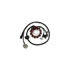 Statore completo Kokusan 150W - 12 poli - trifase diametro est. 84 - c/pick-up a 2 cavi c/connettore bianco MOTORE PIAGGIO LEADER 125 4T INIEZIONE per PIAGGIO 150 VESPA S SPECIAL/COLLEGE IE (09/10) 125 LIBERTY ie (11/13)