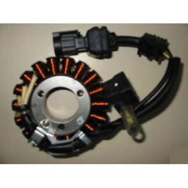 Volano completo 12 poli - trifase - MOTORE PIAGGIO LEADER 200 4T (LIQUIDO) per MALAGUTI MADISON RS 250 (04/05) F12 PHANTOM MAX 250 - PIAGGIO BEVERLY 250 (04/07 ) X9 250 EVOLUTION (04/07)