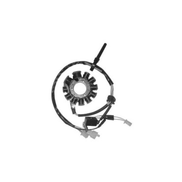 Statore trifase 11 poli - c/pick-up a 2 cavi - c/2 bobine alimentazione - MOTORI SYM 12/150/200 4T CARBURATORE per ADIVA 125 AD EU3/LE/AR (09/10) - LAVERDA125/150/200 PHOENIX - PEUGEOT LXR 125