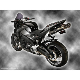 Parafango Posteriore CARBONIO - RETINA ORO per SUZUKI B-KING (07-12) (NO CHAIN GUARD)