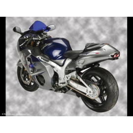 Parafango Posteriore colore CARBON LOOK-GOLD MESH per SUZUKI GSX1300R HAYABUSA (99-07)