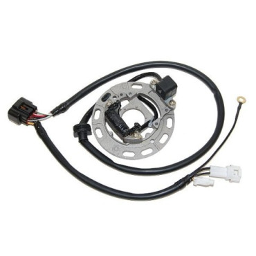 STATORE 1 BOBINA, CONNETTORE 8 FILI, CONNETTORE 2 FILI, 1 FASTON, 1 FILO per KAWASAKI KX65/85/100 (06-)