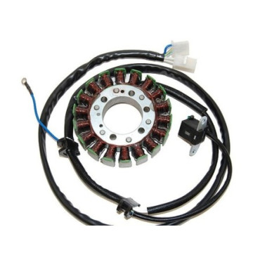 Statore ELECTROSPORT per YAMAHA V-STAR 250 (2008-2012) Statore ELECTROSPORT per YAMAHA V-STAR 250 (2008-2012)