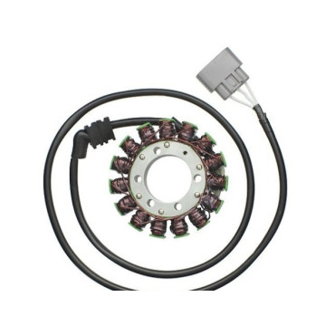 Statore ELECTROSPORT per YAMAHA YZF-R1 (2007-2014) Statore ELECTROSPORT per YAMAHA YZF-R1 (2007-2014)