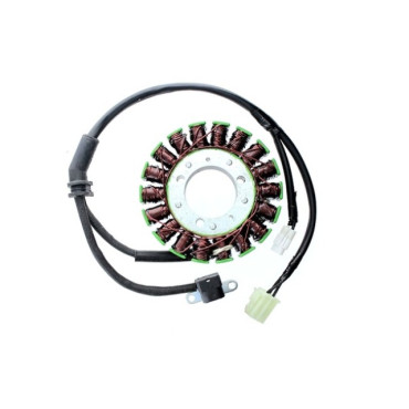 Statore ELECTROSPORT per TRIUMPH DAYTONA 675 (2006 -2014) Statore ELECTROSPORT per TRIUMPH DAYTONA 675 (2006 -2014)
