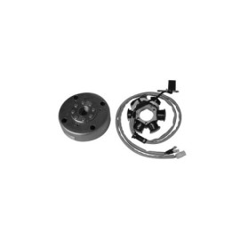 Volano completo 6 poli diam. 116,8 - rotazione dx - cono 16 - 90W per PIAGGIO 50 SFERA/RST/FL (91/97) - 50 SFERA (95/97) - 50 ZIP BASE/RST (92/98) - 50 ZIP FAST RIDER (93/99) - 50 ZIP SP (96/99) - 50 ZIP BASE (92/96) - 50 ZIP RST (99)