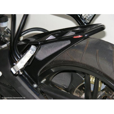 PARAFANGO POSTERIORE colore CARBON LOOK-GOLD MESH per YAMAHA YZF-R125 (08-14)